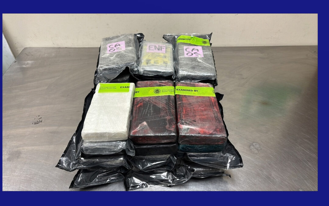 Oficiales de CBP decomisan más de $800 mil dólares en cocaína en el Puente Internacional de Hidalgo durante el Domingo de Pascua