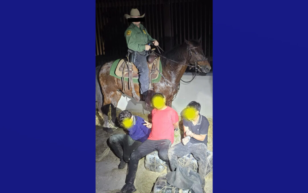 Patrulla Fronteriza decomisa 89 libras de marihuana en Brownsville con apoyo de unidades K9 y montada